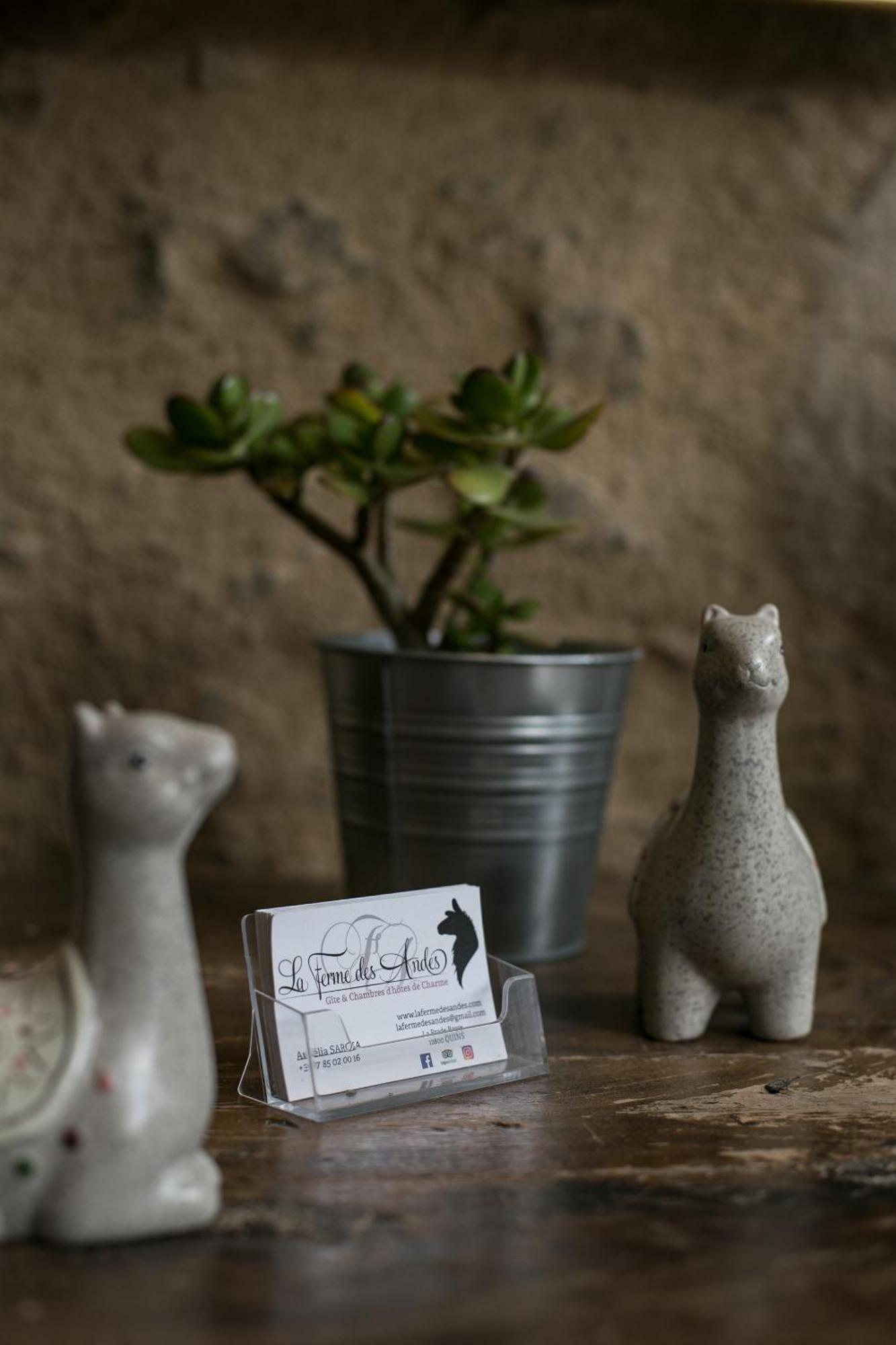 La Ferme des Andes - Gîte l'Atelier Quins Extérieur photo