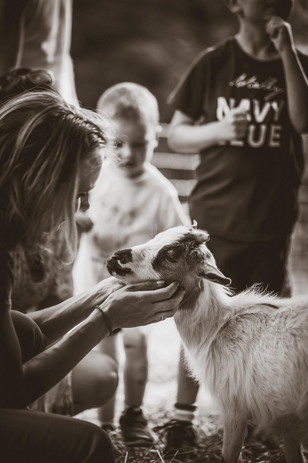 La Ferme des Andes - Gîte l'Atelier Quins Extérieur photo