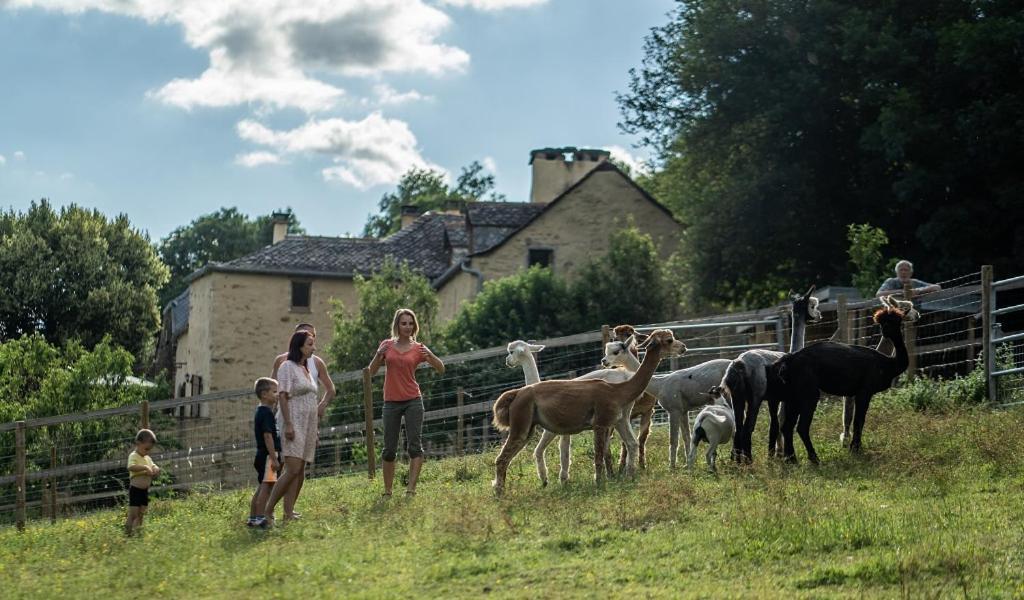La Ferme des Andes - Gîte l'Atelier Quins Extérieur photo
