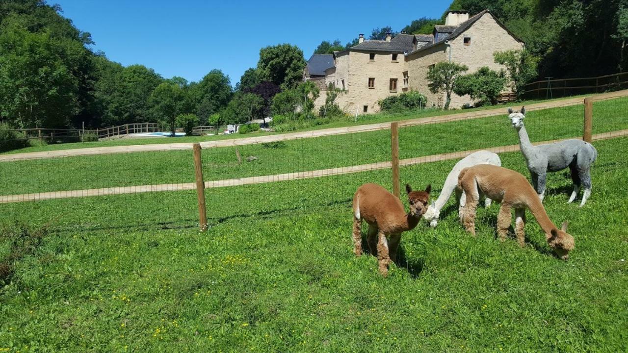 La Ferme des Andes - Gîte l'Atelier Quins Extérieur photo