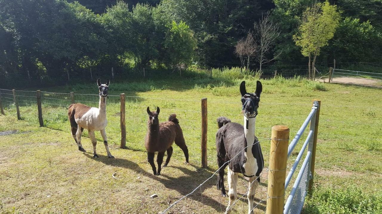 La Ferme des Andes - Gîte l'Atelier Quins Extérieur photo