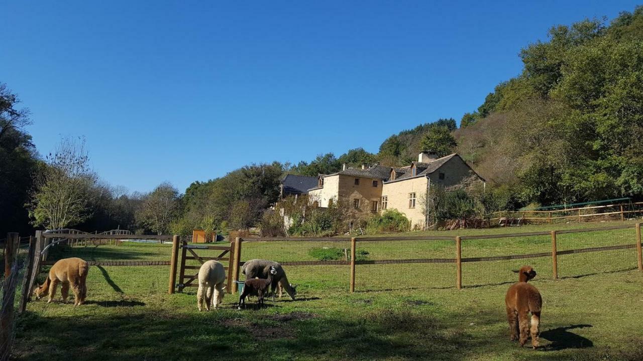 La Ferme des Andes - Gîte l'Atelier Quins Extérieur photo
