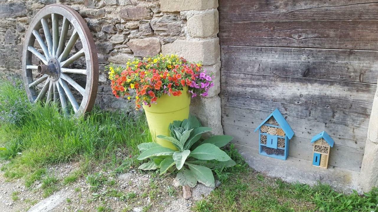 La Ferme des Andes - Gîte l'Atelier Quins Extérieur photo